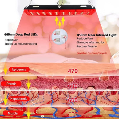 Earth Connect Infrared Physiotherapy Lamp